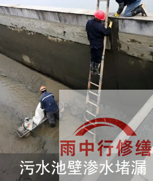 奉贤2026年防水龙头半月两次涨价，行业格局重塑信号